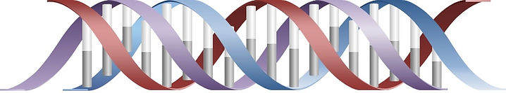 DNA Ekron