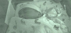 Noah1_edited