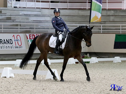 PARA-DRESSAGE-.jpg