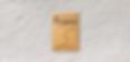 Gemini_Generated_Image_zeyutbzeyutbzeyu.png