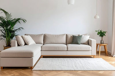 Professional Upholstery Cleaning Services