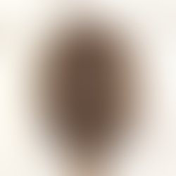 O segredo é o tempero