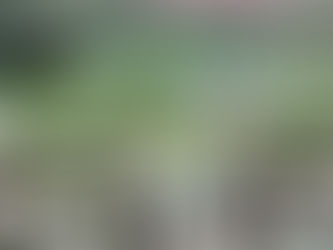 רעיונות להצעת נישואין | המדריך המלא להצעה מרגשת ומקורית