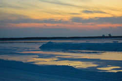 _DSC0904