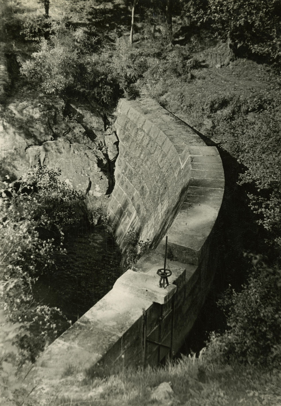 Presa, ano 1950.