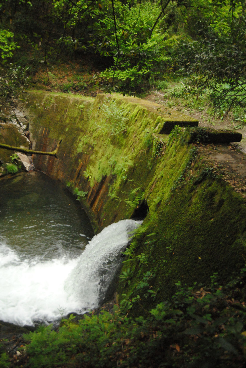 Presa de captación.