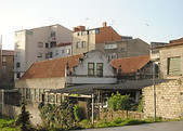 DSC_0026.JPG