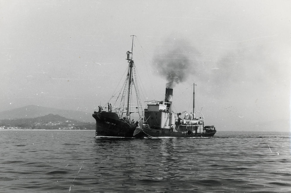 Arponeiro "Lobeiro", ca. 1960.