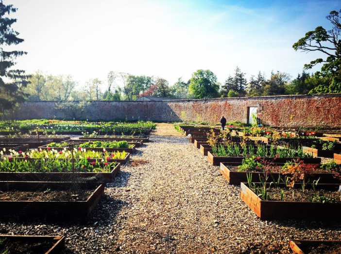 Colstoun's formal walled garden