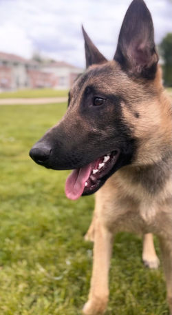 Facetune_27-04-2024-19-18-51