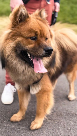 Facetune_27-04-2024-19-19-07