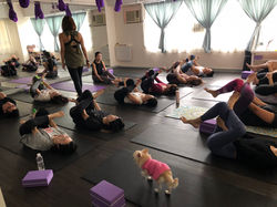 慈善聖誕瑜伽派對