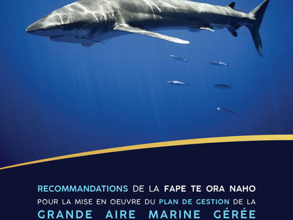 Préservation de notre océan : 30% de protection avant 2030