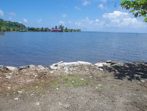 Remblai sauvage à Raitea