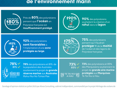 Sondage sur la protection de l’océan en Polynésie française.