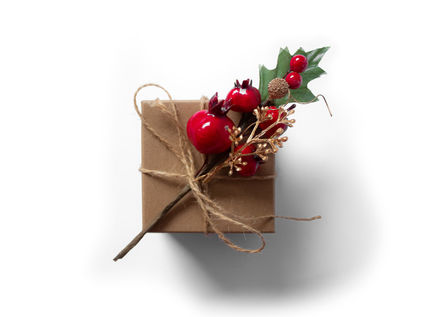 Astuces et Idées pour un Noël Ecolo