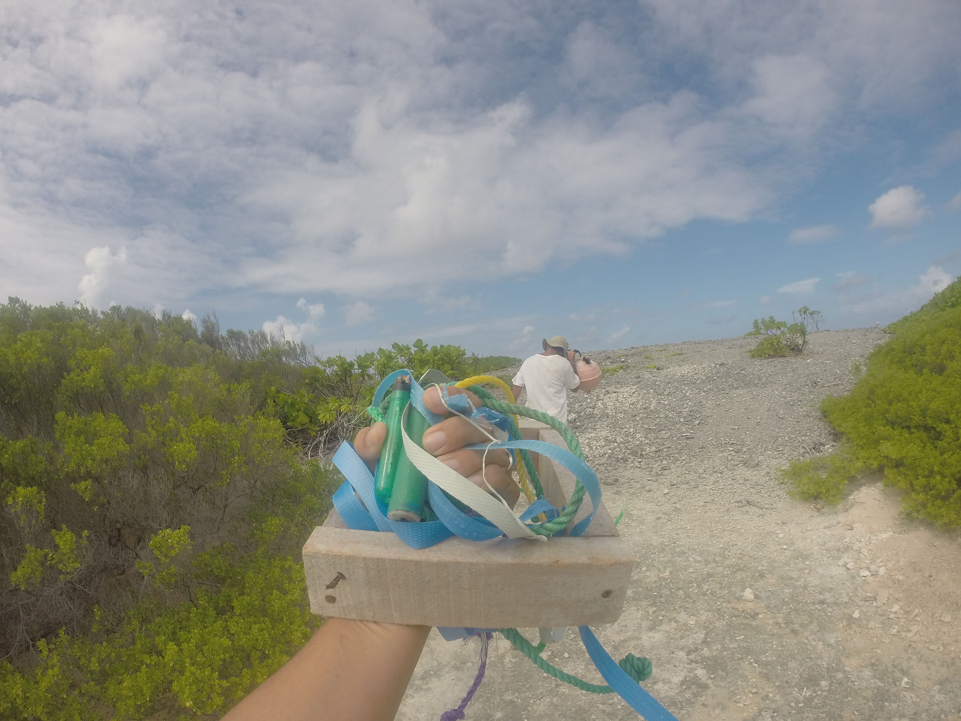 Free in the sea cordage
