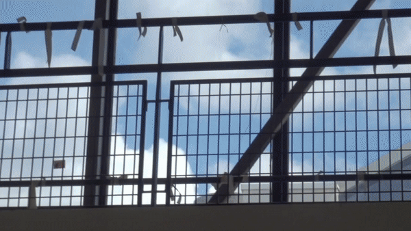 obsèque.gif