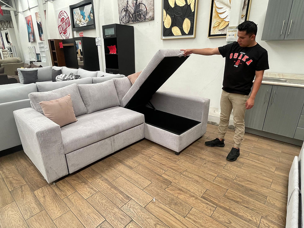 Miniatura: SALA MULTIFUNCIONAL