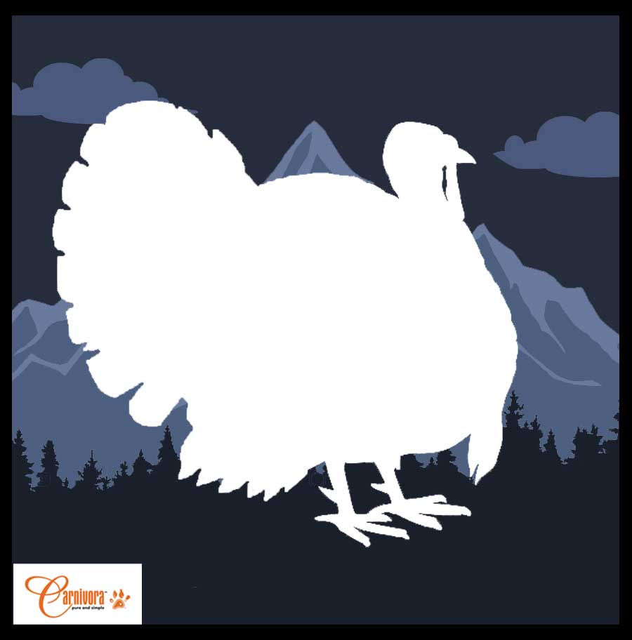 Carnivora Turkey Diet (25lb)