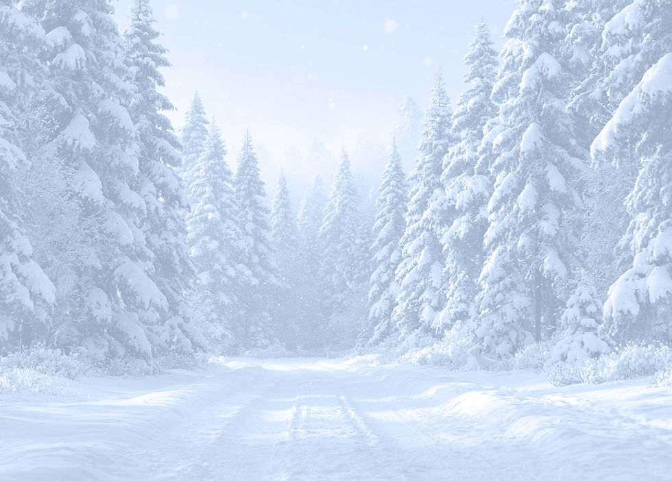MOUNTAIN-K9-ACRES-SNOW-BACKGROUND.jpg