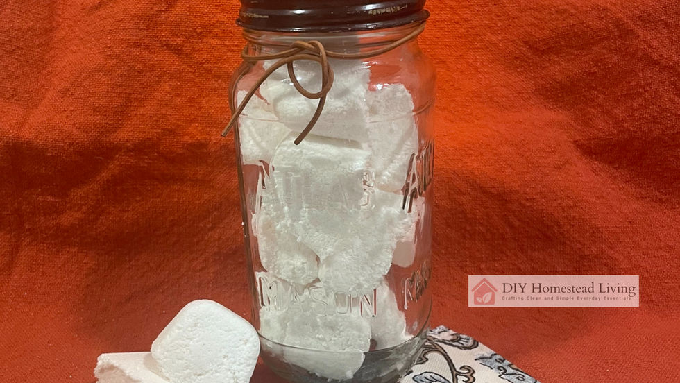 Dishwasher Detergent Tablets