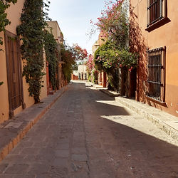 Street in San Miguel de Allende