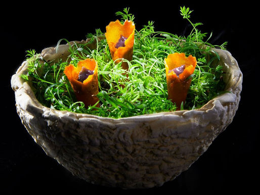 As comidas, as louças e a estética!