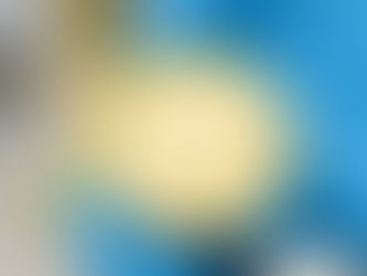 Esturjão albino e seu raro caviar