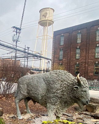 Bourbon A Behind-the-Scenes Look at Buffalo Trace Distillery Free Tour and Taste Testing Photo Gallery