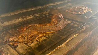 Uncovering East Carolina BBQ and the Smoky History of Skylight Inn BBQ in Ayden, NC