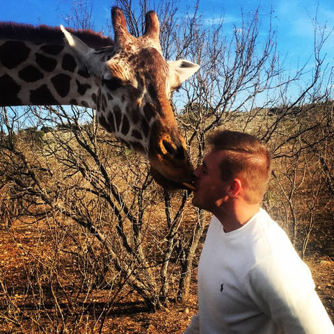 Giraffe Kiss in Texas - Coach Sam Casey