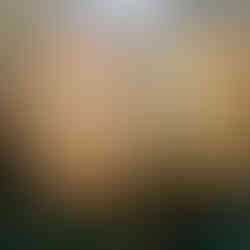 Bourbon A Behind-the-Scenes Look at Buffalo Trace Distillery Free Tour and Taste Testing Photo Gallery