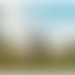 Casey + Logan | Backyard Treehouse Wedding | Buckhannon, West Virginia |