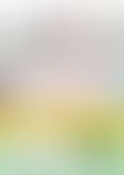 Vrijwilligerswerk doen in het buitenland?