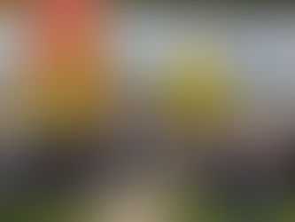 Mooie open dag in slotklooster Valkenburg