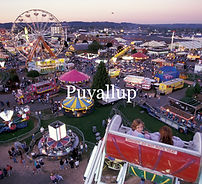 Puyallup Fusion Builders
