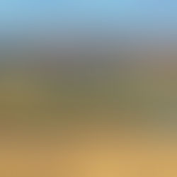 De nombreux puits à sec à Saint-André-de-Restigouche