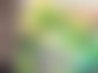 L’ABC du baril récupérateur d’eau de pluie 