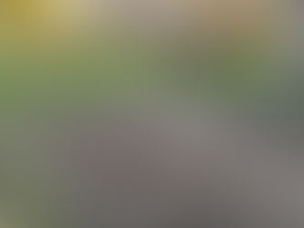 Baisse des réserves en eaux souterraines : il faut s’y préparer