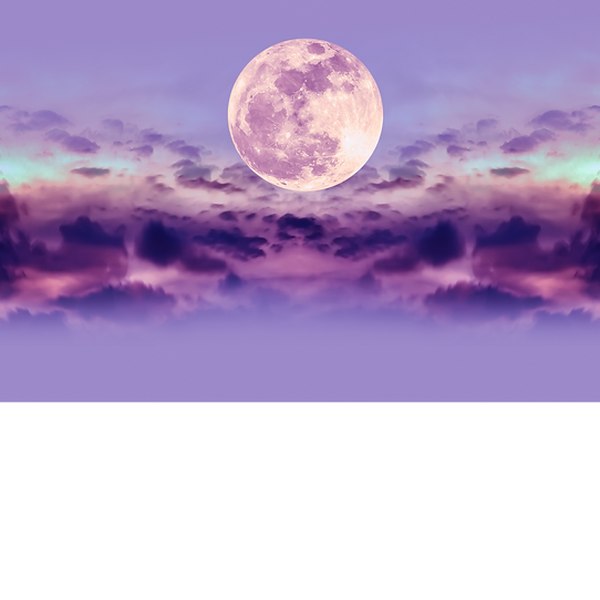 Untitled design (11).png