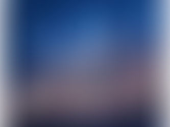 POST ANIMAL // Protecting the Whimsy: Adulthood Forged in IRON, Grief, Growing up + Glittering Absurdity