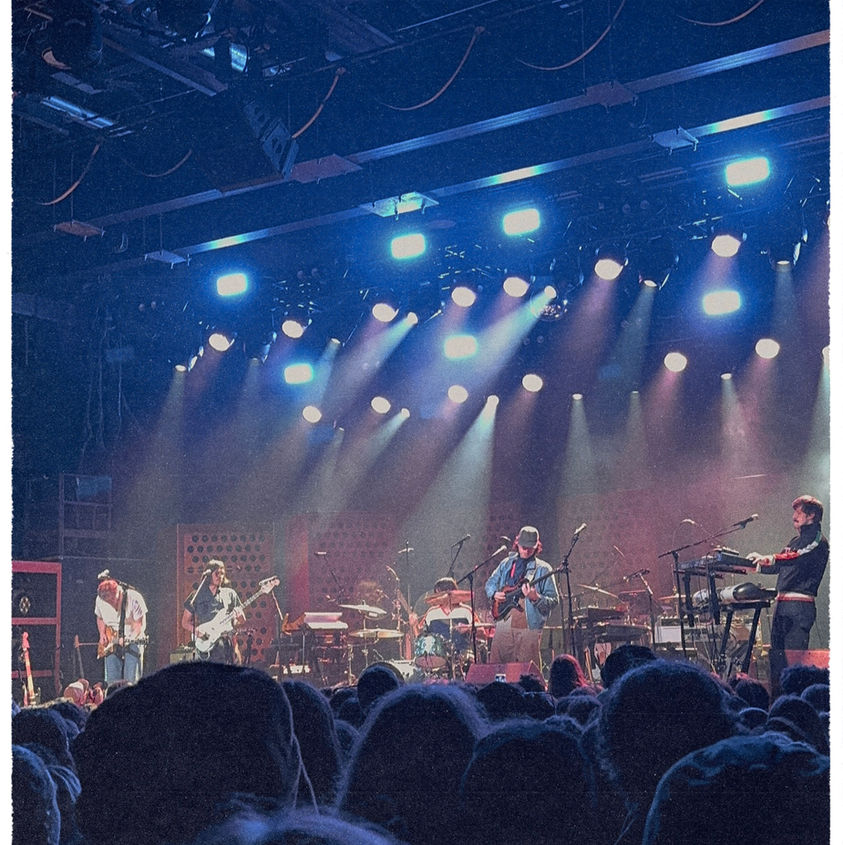 POST ANIMAL // Protecting the Whimsy: Adulthood Forged in IRON, Grief, Growing up + Glittering Absurdity