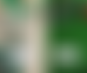 Cercasi produttore o distributore di articoli per il giardinaggio