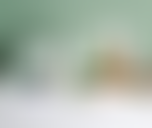 SCADUTA - Cercasi produttore italiano di prodotti estetici e farmaceutici