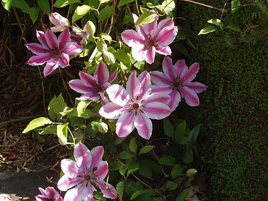May June 2013 015.JPG