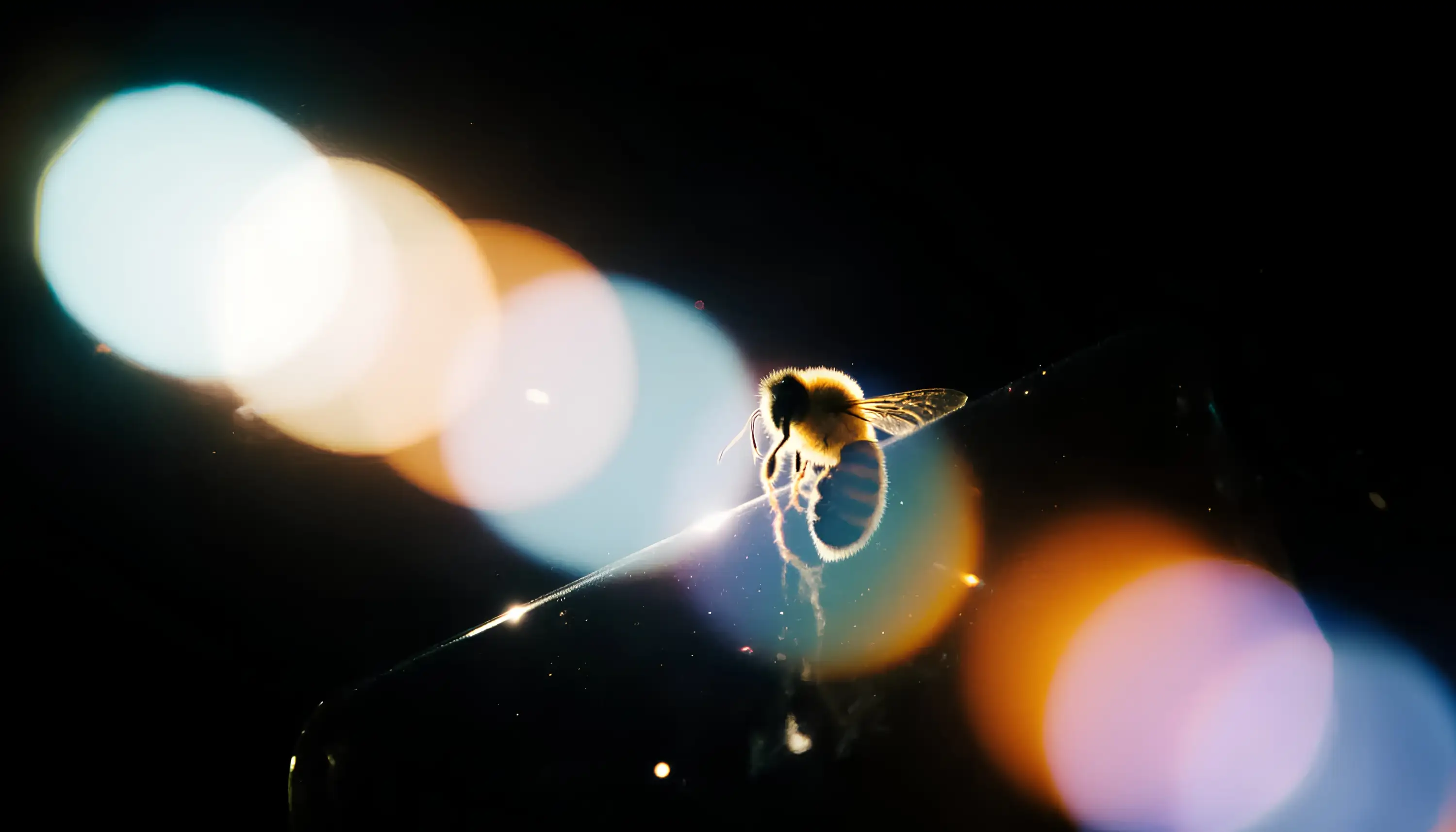 Screen readers read aloud the alt text so that visually impaired people can understand what is depicted in an image or video.