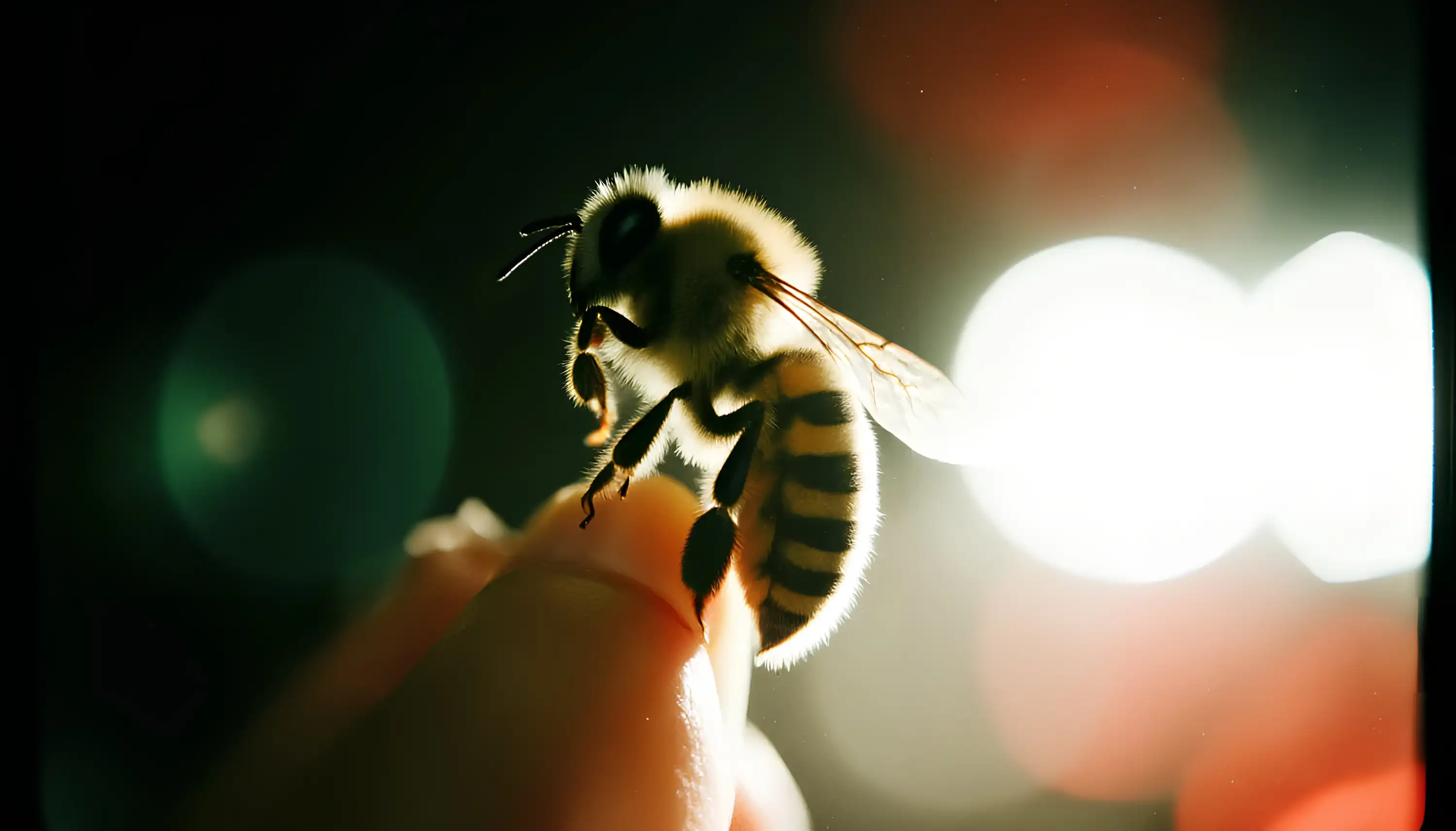 Screen readers read aloud the alt text so that visually impaired people can understand what is depicted in an image or video.