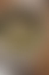 Szybki bowl z tuńczykiem i ogórkiem małosolnym.