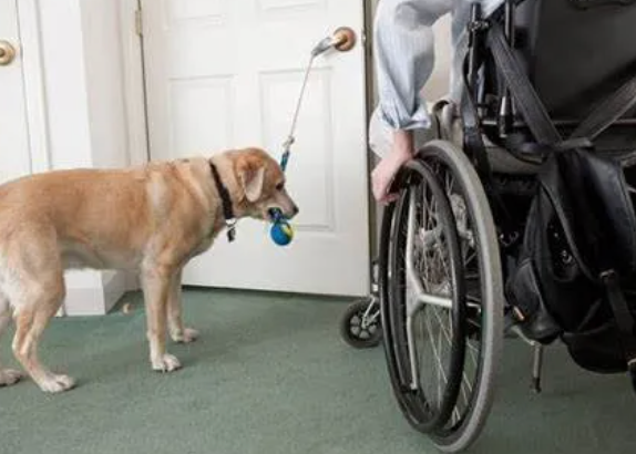 Bildschirmfoto 2025-12-02 um 13.21.33.png